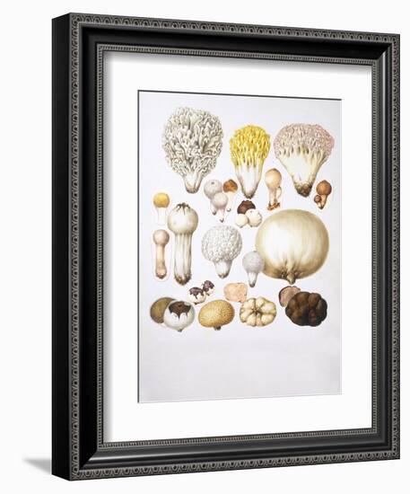 Mushrooms-null-Framed Giclee Print