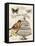 Music Bird I-Gwendolyn Babbitt-Framed Stretched Canvas