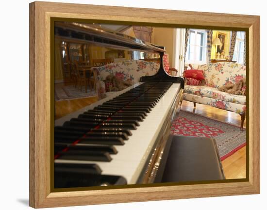 Music Room-null-Framed Premier Image Canvas