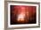 Music To My Eyes-Philippe Sainte-Laudy-Framed Giclee Print