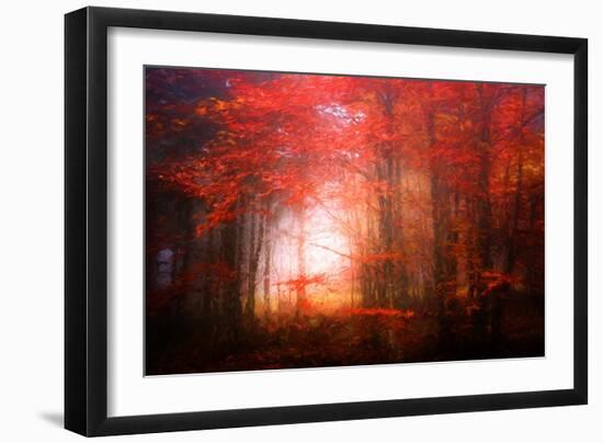 Music To My Eyes-Philippe Sainte-Laudy-Framed Giclee Print