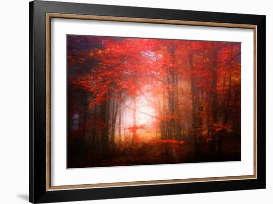 Music To My Eyes-Philippe Sainte-Laudy-Framed Giclee Print