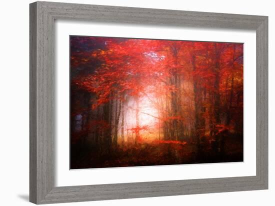 Music To My Eyes-Philippe Sainte-Laudy-Framed Premium Giclee Print