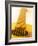 Music-null-Framed Photographic Print