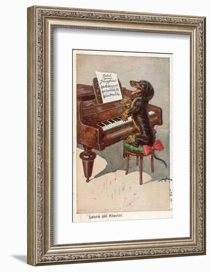 Musical Dachshund Plays a Tune on the Piano-null-Framed Photographic Print