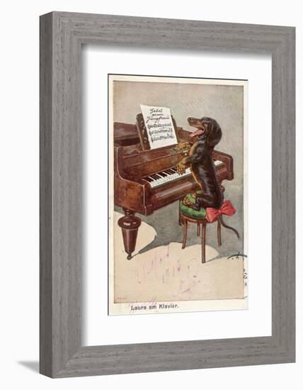 Musical Dachshund Plays a Tune on the Piano-null-Framed Photographic Print
