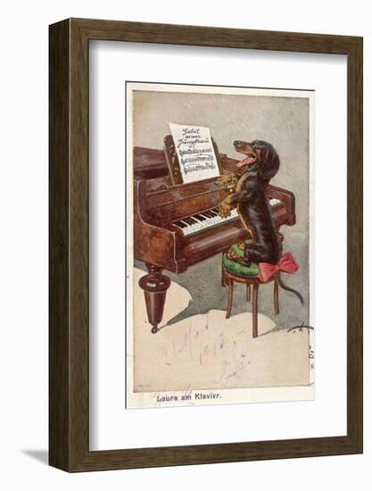 Musical Dachshund Plays a Tune on the Piano-null-Framed Photographic Print