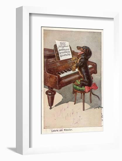 Musical Dachshund Plays a Tune on the Piano-null-Framed Photographic Print