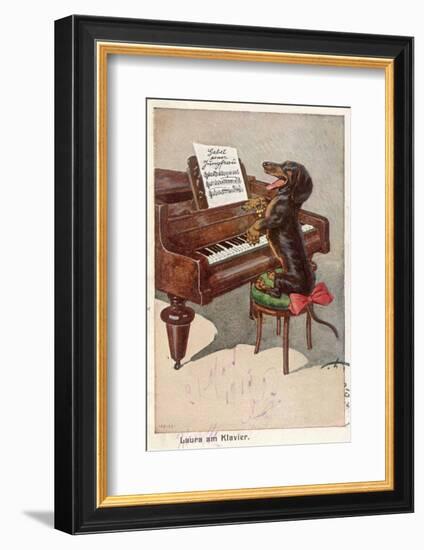 Musical Dachshund Plays a Tune on the Piano-null-Framed Photographic Print