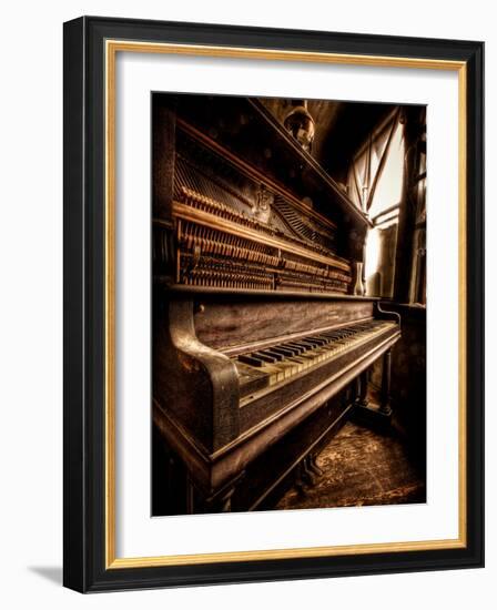 Musical Dreams-Stephen Arens-Framed Photographic Print