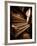 Musical Dreams-Stephen Arens-Framed Photographic Print