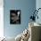 Musical Dreams-Stephen Arens-Photographic Print displayed on a wall
