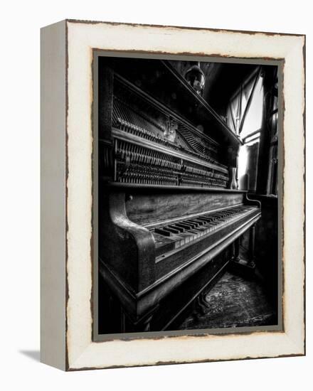 Musical Dreams-Stephen Arens-Framed Premier Image Canvas