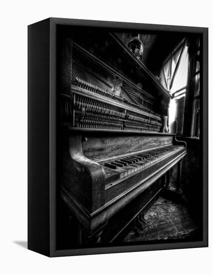 Musical Dreams-Stephen Arens-Framed Premier Image Canvas