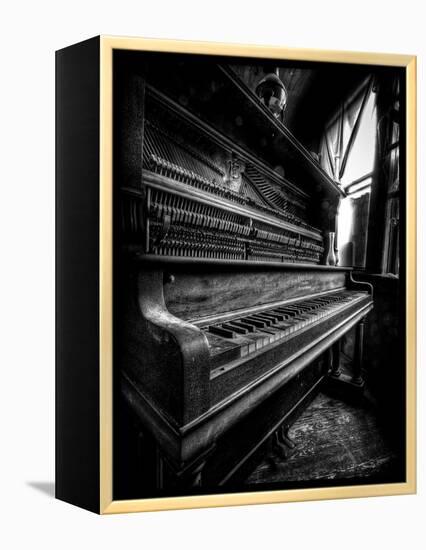 Musical Dreams-Stephen Arens-Framed Premier Image Canvas