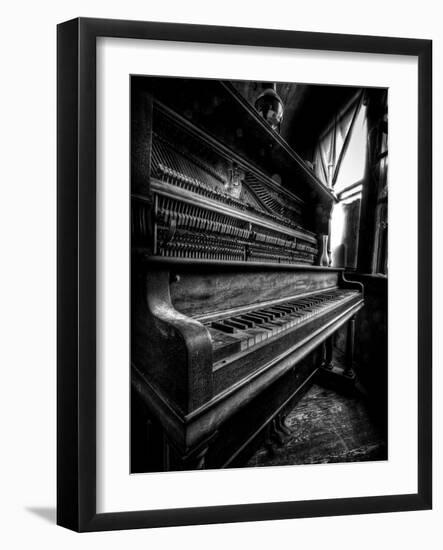 Musical Dreams-Stephen Arens-Framed Photographic Print
