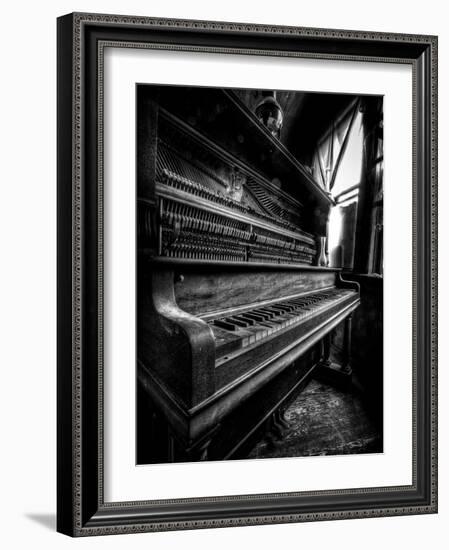 Musical Dreams-Stephen Arens-Framed Photographic Print