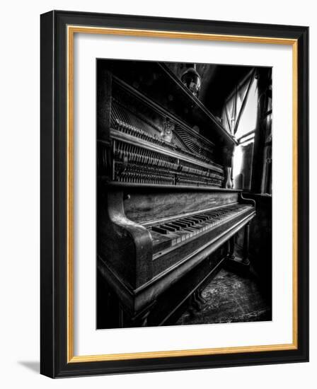 Musical Dreams-Stephen Arens-Framed Photographic Print