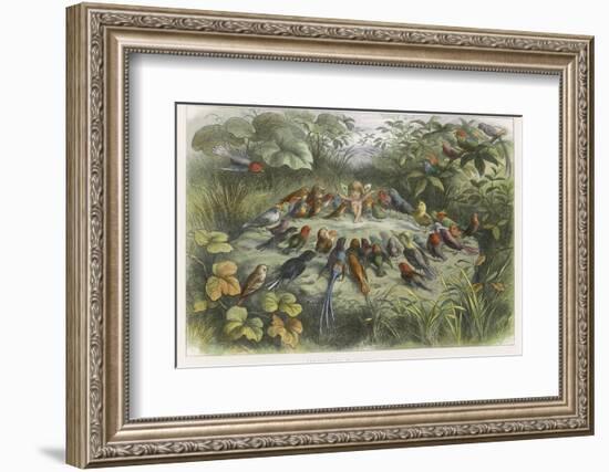 Musical Elf Teaches the Young Birds to Sing-Richard Doyle-Framed Photographic Print