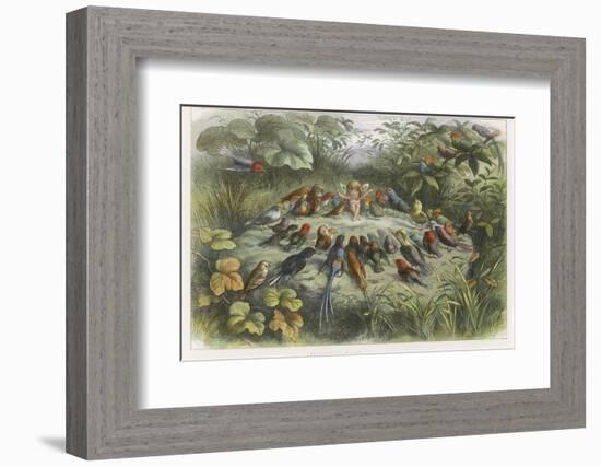 Musical Elf Teaches the Young Birds to Sing-Richard Doyle-Framed Photographic Print