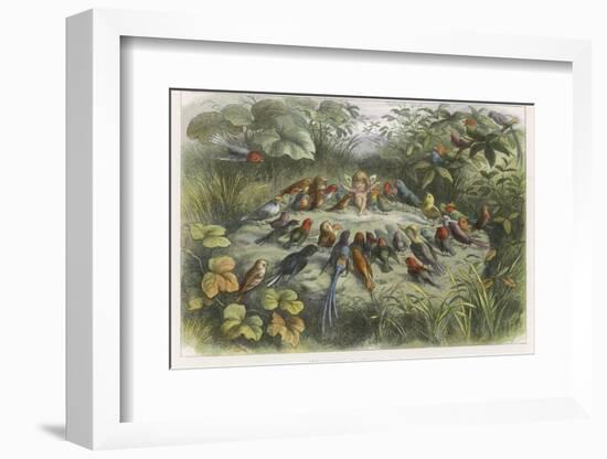 Musical Elf Teaches the Young Birds to Sing-Richard Doyle-Framed Photographic Print