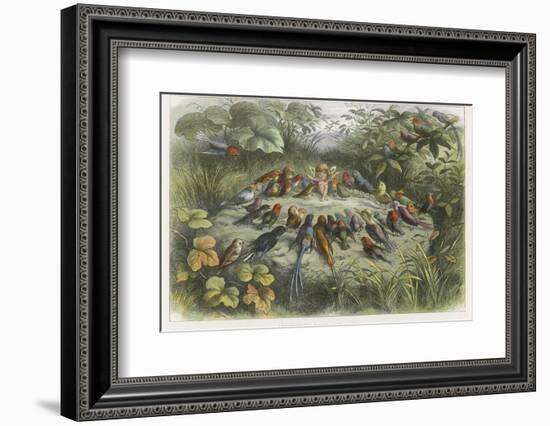 Musical Elf Teaches the Young Birds to Sing-Richard Doyle-Framed Photographic Print