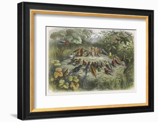 Musical Elf Teaches the Young Birds to Sing-Richard Doyle-Framed Photographic Print