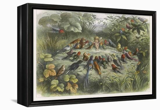 Musical Elf Teaches the Young Birds to Sing-Richard Doyle-Framed Premier Image Canvas