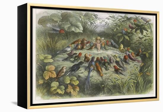 Musical Elf Teaches the Young Birds to Sing-Richard Doyle-Framed Premier Image Canvas