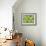 Musical Frog-Maria Trad-Framed Giclee Print displayed on a wall