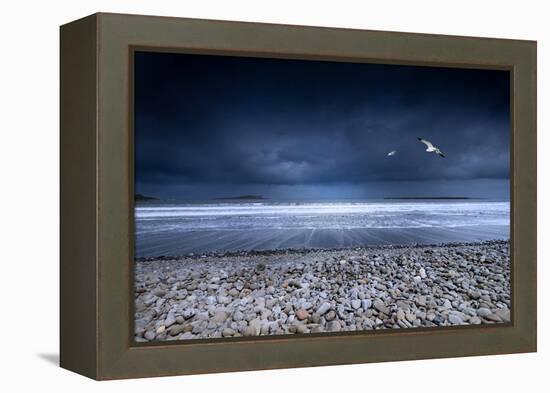 Musical Nature-Philippe Sainte-Laudy-Framed Premier Image Canvas