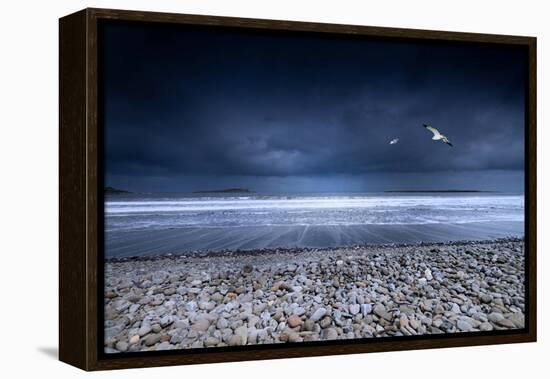Musical Nature-Philippe Sainte-Laudy-Framed Premier Image Canvas