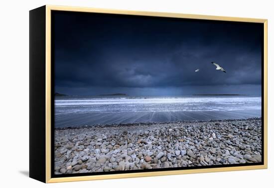 Musical Nature-Philippe Sainte-Laudy-Framed Premier Image Canvas