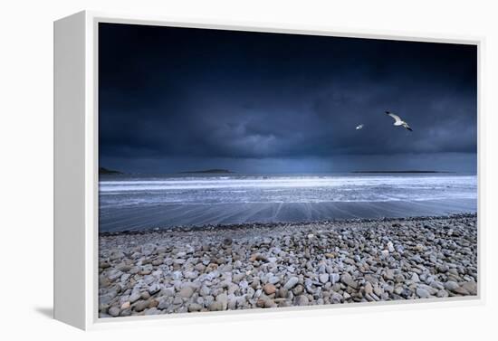 Musical Nature-Philippe Sainte-Laudy-Framed Premier Image Canvas