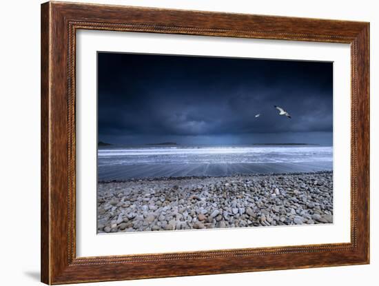 Musical Nature-Philippe Sainte-Laudy-Framed Photographic Print