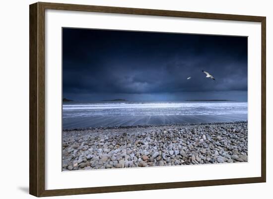 Musical Nature-Philippe Sainte-Laudy-Framed Photographic Print