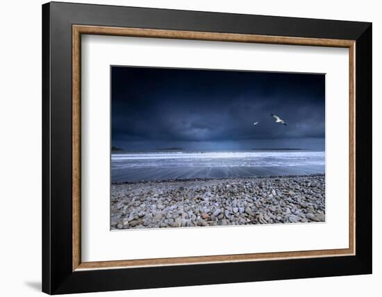 Musical Nature-Philippe Sainte-Laudy-Framed Photographic Print