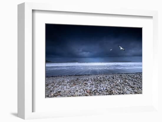 Musical Nature-Philippe Sainte-Laudy-Framed Photographic Print