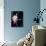 Musician Joe Perry Performing-David Mcgough-Premium Photographic Print displayed on a wall