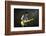 Musician Keith Richards Performing-David Mcgough-Framed Photographic Print