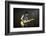 Musician Keith Richards Performing-David Mcgough-Framed Photographic Print