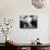 Musician Louis Armstrong in His Neighborhood Barber Shop-John Loengard-Mounted Premium Photographic Print displayed on a wall