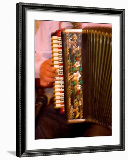 Musician Playing Accordion for Turkish Dancers, Turkey-Darrell Gulin-Framed Photographic Print