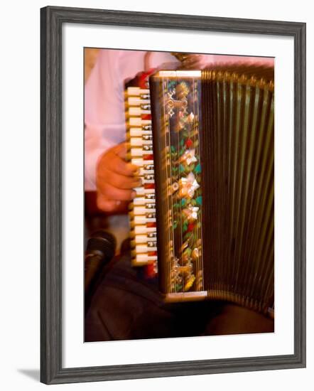 Musician Playing Accordion for Turkish Dancers, Turkey-Darrell Gulin-Framed Photographic Print