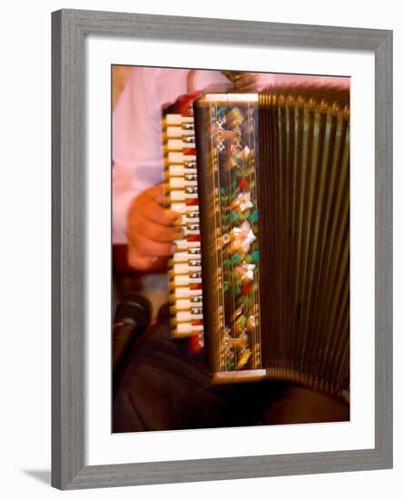 Musician Playing Accordion for Turkish Dancers, Turkey-Darrell Gulin-Framed Photographic Print