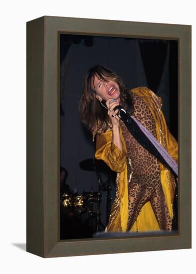 Musician Steven Tyler Performing-Dave Allocca-Framed Premier Image Canvas