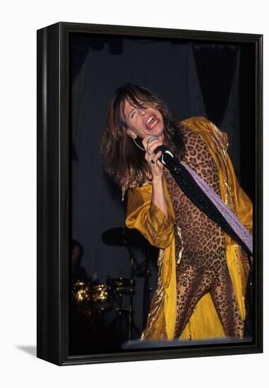 Musician Steven Tyler Performing-Dave Allocca-Framed Premier Image Canvas