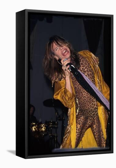 Musician Steven Tyler Performing-Dave Allocca-Framed Premier Image Canvas