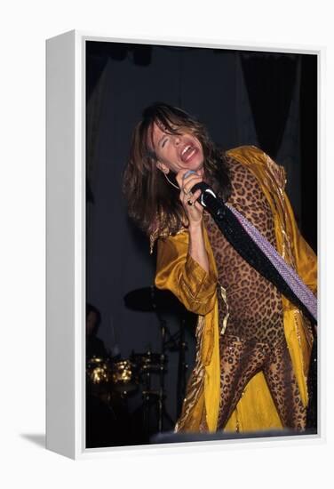 Musician Steven Tyler Performing-Dave Allocca-Framed Premier Image Canvas