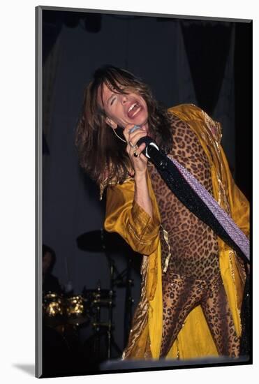 Musician Steven Tyler Performing-Dave Allocca-Mounted Photographic Print